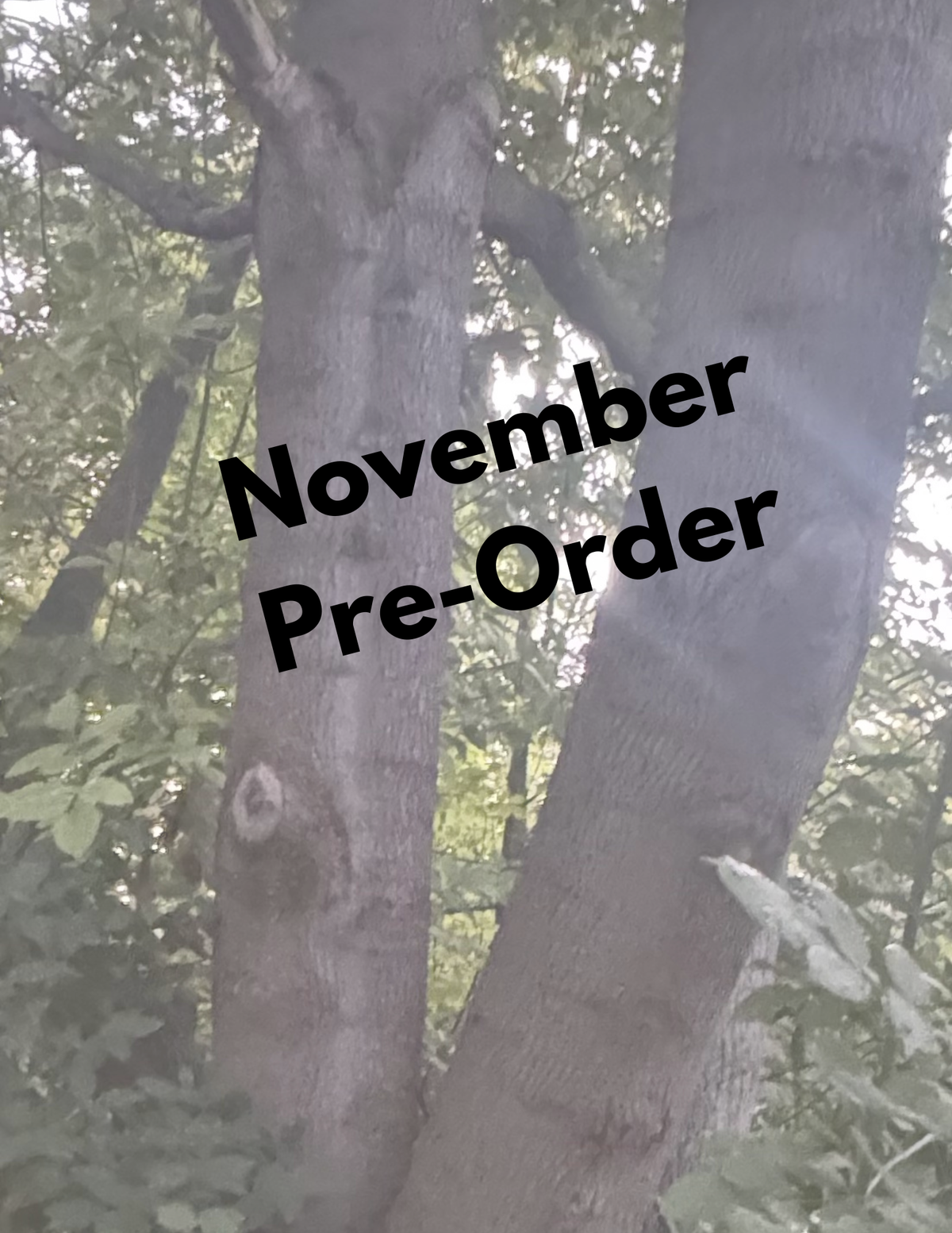 November Mail Club